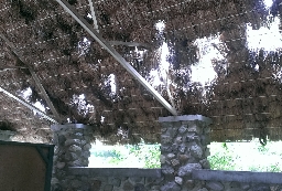 damaged roof