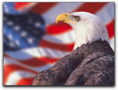 Eagle and US Flag