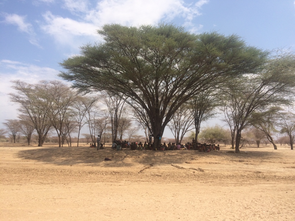 Church under a tree