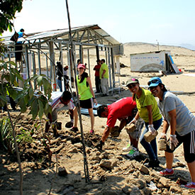 planting a garden.