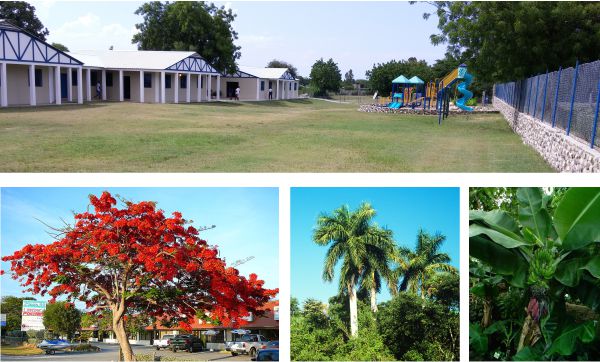 the yard is bare at the Children's Home