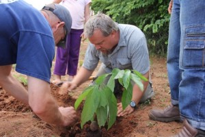 CMF missionary Brian Hauser planting avocado trees.