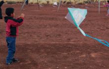 kite day