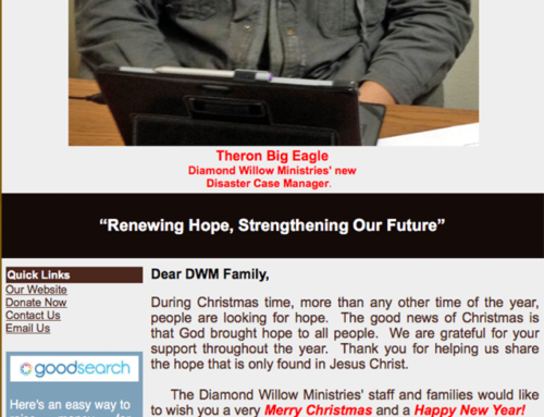 Diamond Willow Ministries – Dec 2015 eNews – Renewing Hope, Strengthening Our Future